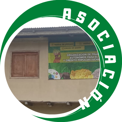 Asociación Lucha y Progreso