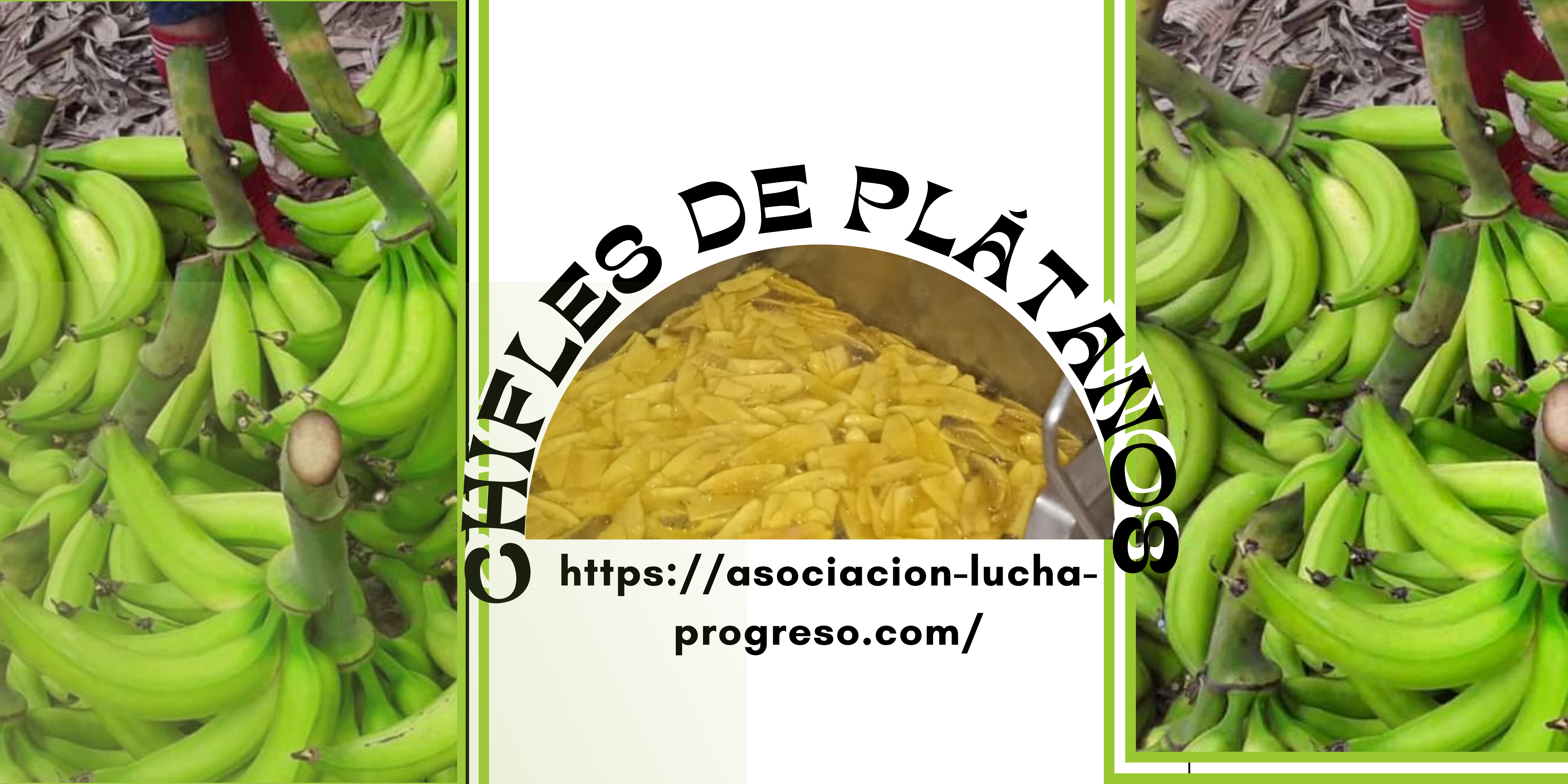 Asociación Lucha y Progreso